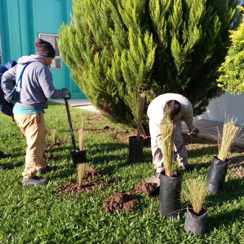 Renovación de Jardines y espacios verdes en el EMAPI